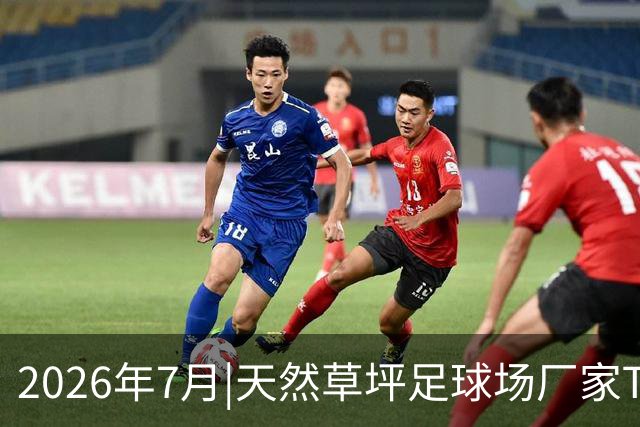 2026年7月|天然草坪足球场厂家TOP8推荐